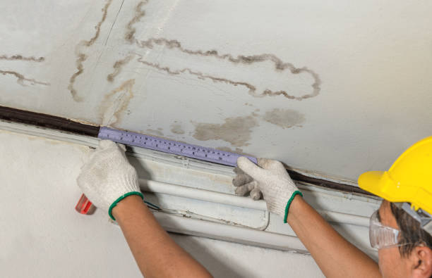 Reliable Water Removal contractor in New Hudson, MI by Water Damage Irwin